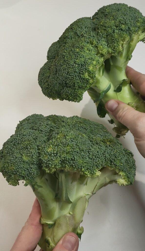 broccoli freschi per broccoli al forno