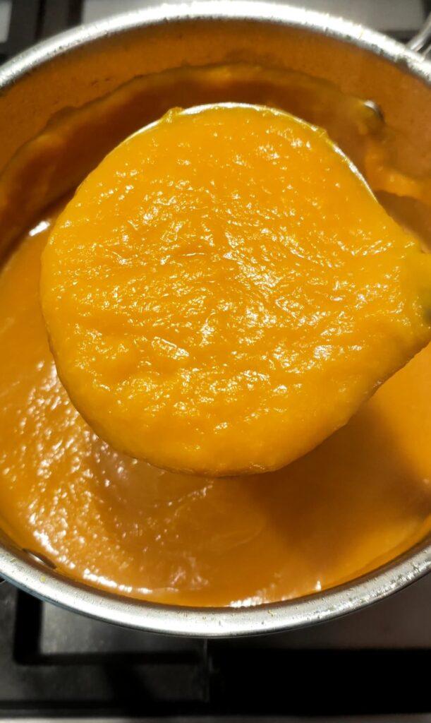 vellutata di zucca leggera appena frullata
